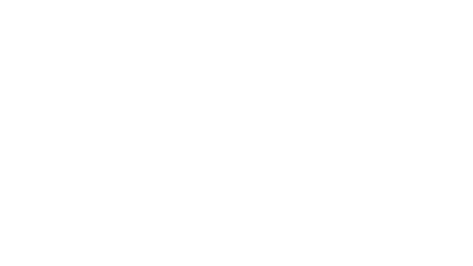VIDDYSLAP